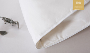 Blanc goosed <span class=keywords><strong>couette</strong></span> en <span class=keywords><strong>duvet</strong></span> <span class=keywords><strong>couette</strong></span> - Product Image 3