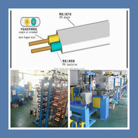 Machine d'extrusion de câbles UTP Cat 6 JING-ONE JO-35mm/50mm/60mm avec PVC/PE et capacité de 110 kg/h