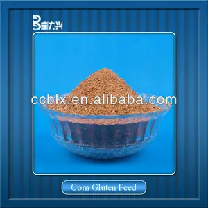 corn gluten feed