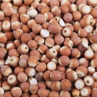 Yanzhifang — Yanzhifang 100% naturelle, graine d'euryale