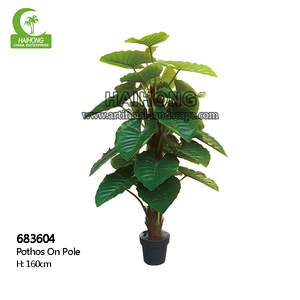 ต้นบอนไซเทียมมีขนาดแตกต่างกัน - Product Image 4
