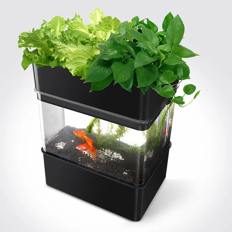 מיני חכם גן דגי טנק aquaponics ערכת לשימוש פנימי