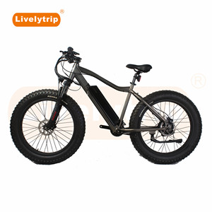 Clásico <span class=keywords><strong>Fatbike</strong></span> 48V 500W <span class=keywords><strong>Bafang</strong></span> trasero Hub Motor eléctrico de nieve/bicicleta de montaña con batería - Product Image 2