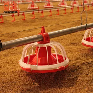 Goldenest geflügel huhn ausrüstung, automatische huhn | broiler feeder