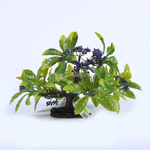 Plantes Vivantes/Bolbitis Heudelotii/Africain Fougère D'eau/Très facile - Product Image 4