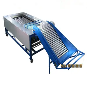 Best Quality Fruit Apple Orange Lemon Lychee Red Dates Peach Roller Brush Classifier Sorter Machine