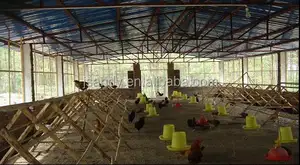 Customizable Prefab Steel Structure Poultry Farm Shed