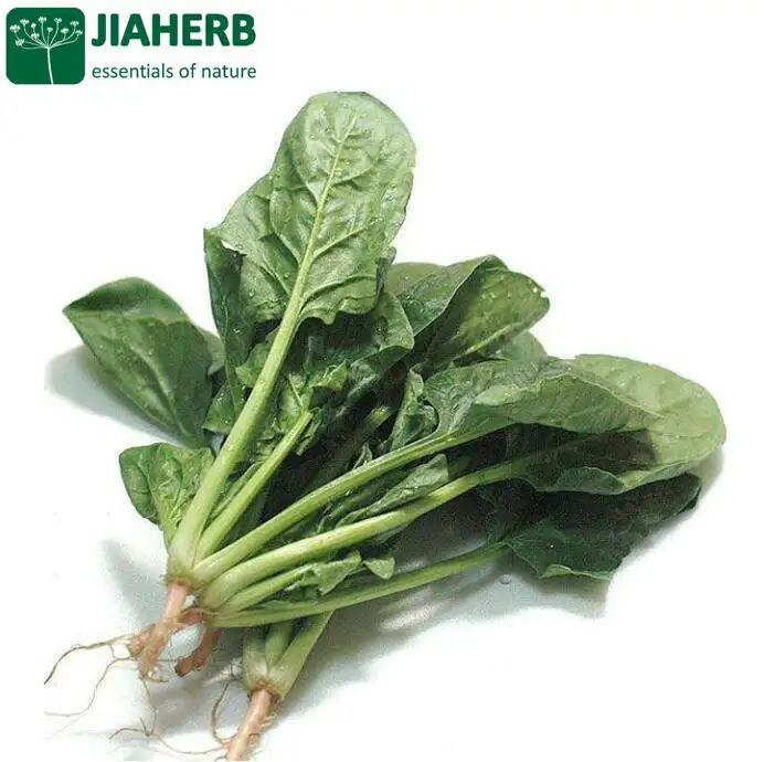 JIAHERB 18 Years 6 Factories Offer 100% Pure Natural Plant Extract Spinach Extract 10:1 Spinacia oleracea vegetable powder