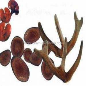 GMP Natural Deer Antler terciopelo extracto - Product Image 3