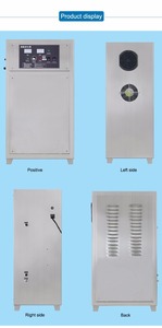 25g naturel air source traitement de l'eau générateur d'ozone pour koi étang - Product Image 6