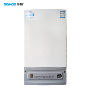 Caldera <span class=keywords><strong>de</strong></span> Gas <span class=keywords><strong>de</strong></span> Ahorro Energético <span class=keywords><strong>con</strong></span> Alta Eficiencia y Precio <span class=keywords><strong>de</strong></span> Fábrica Competitivo - Product Image 2