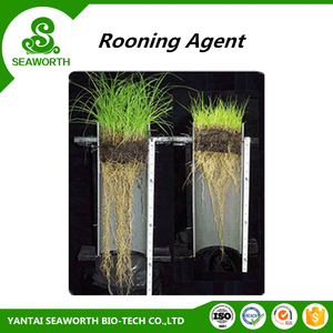 Rễ Tiểu Phân Bón Cây Trồng Tốt Nhất - Product Image 3