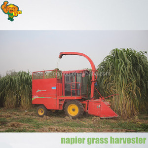 9QZ-2100 नेपियर घास सिलेज चारा काटने की मशीन - Product Image 2
