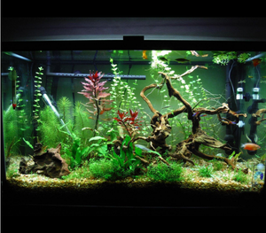 Éclairage d'aquarium programmable, <span class=keywords><strong>LED</strong></span> UV interne, <span class=keywords><strong>Aqua</strong></span> Grow RGB, éclairage de support pour plantes avec contrôleur, super économie d'énergie - Product Image 6