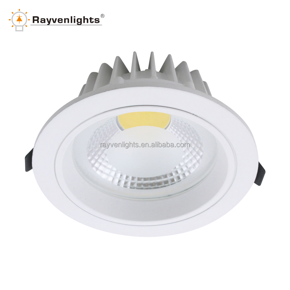 Die-cast 20W 6 inch led downlight 30W 8 inch down light outside downlights