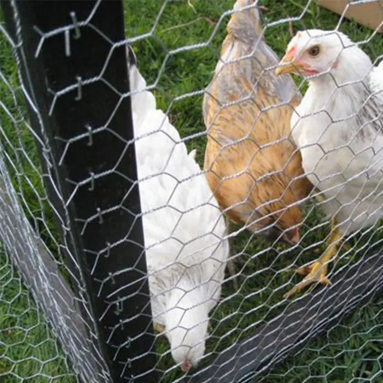 US chicken wire mesh /8 foot tall chicken wire fencing /hexagonal wire mesh cost
