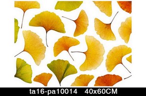Vente chaude <span class=keywords><strong>Art</strong></span> Esprits Peint À La Main Toile Peinture À L'huile - Product Image 5