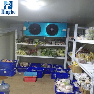 Chambre froide industrielle Fresno Fresh Steph Curry avec compresseur TECUMSEH, écologique, 220v-380V, utilisée pour le stockage à froid des feuilles de bananier, ferme - Product Image 3