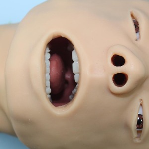 Modelo de Maniquim Médico de PVC de Alta Qualidade J4A para Treinamento Avançado de Intubação de Via Aérea em Crianças e Adultos com Tubo Nasogástrico - Product Image 4