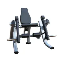 Offre Spéciale Bonne Qualité De Gymnastique Professionnel Life Fitness Équipement Machine D'extension De Jambe (AK-6834)