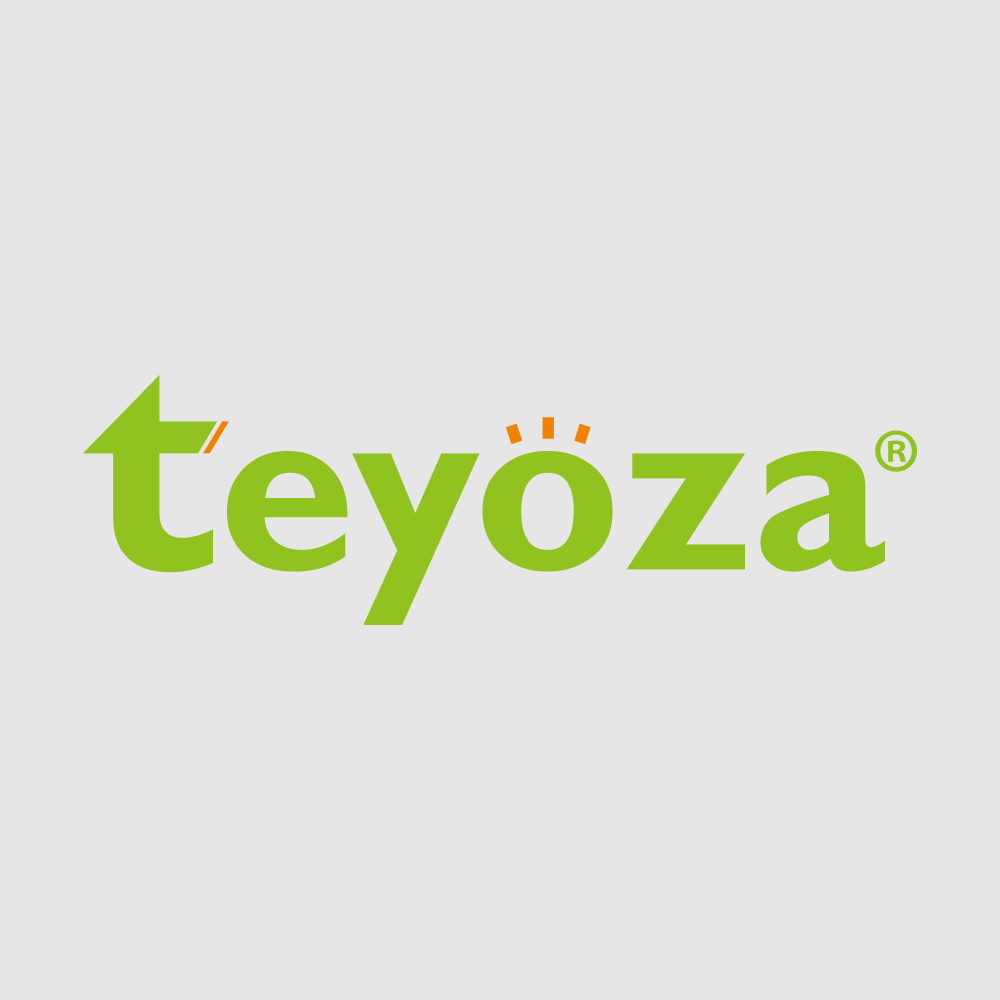 Shenzhen Tisen Electric Appliance Co., Ltd. logo