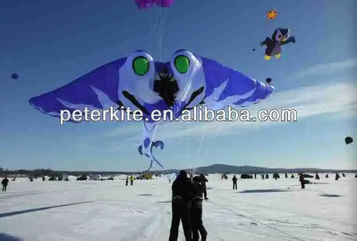 inflatable kite