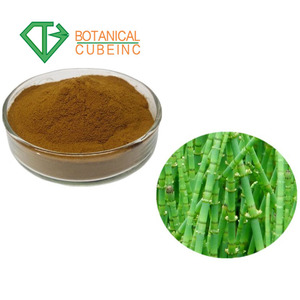 Natural Equisetum Arvense Powder Equisetum Arvense Extract, Equisetum Extract - Product Image 6