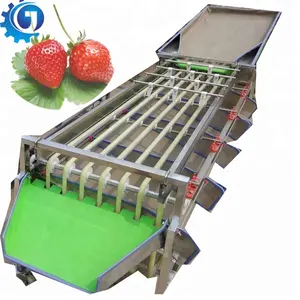 Orbitale Soort Fruit Automatische Sorteren Machine Grootte Sorteermachine Geen Kwaad Voor Fruit