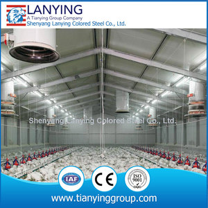 Huevo <span class=keywords><strong>de</strong></span> <span class=keywords><strong>gallina</strong></span> criar aves <span class=keywords><strong>de</strong></span> corral casa - Product Image 4