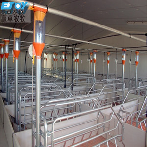 Solución Profesional Llave en Mano para la Construcción de Nuevas Granjas Porcinas - Product Image 2