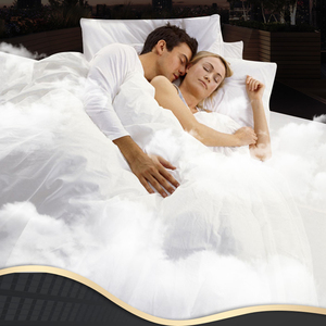 Bianco europeo Goose Piume <span class=keywords><strong>D</strong></span>'anatra Bianca Formato Su Misura <span class=keywords><strong>Piuma</strong></span> Piumino E Giù <span class=keywords><strong>Trapunta</strong></span> - Product Image 3