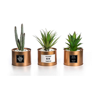 Set di 3 <span class=keywords><strong>Mini</strong></span> piante artificiali <span class=keywords><strong>Cactus</strong></span> in plastica verde erba con speciale Design in vaso dorato - Product Image 1