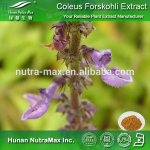 Salud alimentaria <span class=keywords><strong>coleus</strong></span> <span class=keywords><strong>forskolin</strong></span> polvo extracto forskohlin 8% 66575-29-9 - Product Image 1