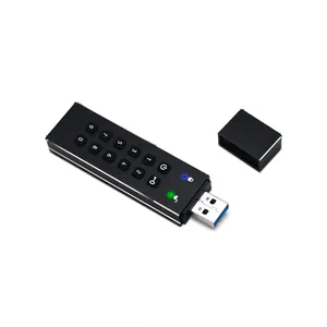 Datage Hoge Kwaliteit Economie Custom Wachtwoord Encryptie USB3.0 Flash Drive