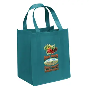 High Quality Supermarket Grocery Shopping Bags Waterproof Large Capacity Grocery Bag Pp Non Woven Bag Manufacturer