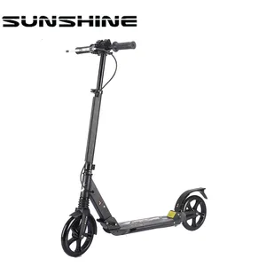 2 bánh xe trẻ em gấp/người lớn trọng lượng nhẹ tri gấp đá scooter cho người lớn