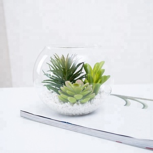 Fausses plantes succulentes artificielles de petite taille, nouveau design, en verre, pot de fleurs pour la décoration, - Product Image 6