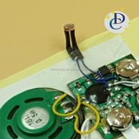 Module sonore enregistrable OEM de 30 à 60 secondes par ordinateur ou par ligne téléphonique en entrée