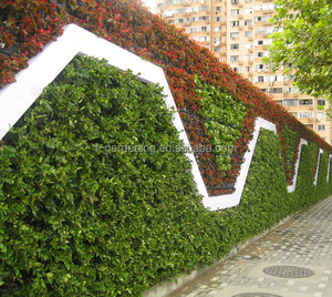 Jardineras de sistema de <span class=keywords><strong>pared</strong></span> verdes para jardín Vertical decorativas para exteriores, macetero de <span class=keywords><strong>pared</strong></span> verde Vertical, macetero Greenwall - Product Image 5