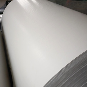 <span class=keywords><strong>Papier</strong></span> enduit <span class=keywords><strong>de</strong></span> PE 70 g/m² pour <span class=keywords><strong>nappe</strong></span>, couverture <span class=keywords><strong>de</strong></span> <span class=keywords><strong>table</strong></span> en <span class=keywords><strong>papier</strong></span>, <span class=keywords><strong>nappe</strong></span> imperméable - Product Image 5