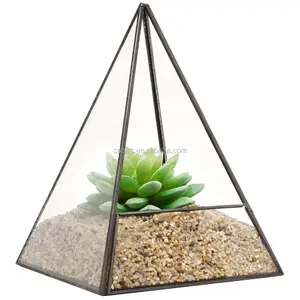 Pyramide en verre moderne, fleur artificielle géante, plateau de table, plante succulente, boîte de Terrarium, Figurines, jardinière, plantes vertes