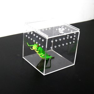 Mini Cage à reptile en plexiglas pour les animaux, bac en acrylique transparente, à motif d'insecte, accessoire de Terrarium - Product Image 5