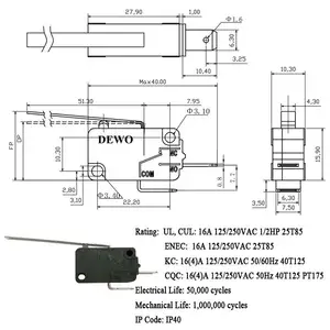 Microinterruptor de palanca de acero inoxidable largo de 2 pines eléctrico al por mayor 16A 250V