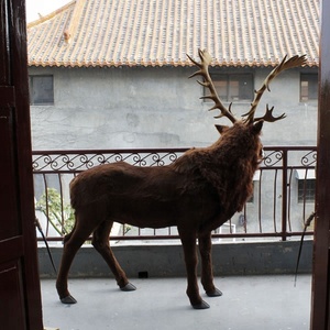 Décorations de Noël de cour de cerf grandeur nature renne Navidad modèle de cerf debout réaliste - Product Image 6