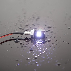 Perno <span class=keywords><strong>de</strong></span> luz LED para matrícula <span class=keywords><strong>de</strong></span> motocicleta, ajuste Universal <span class=keywords><strong>de</strong></span> aluminio <span class=keywords><strong>de</strong></span> alta calidad, impermeable, 0,24 W, 12V, <span class=keywords><strong>precio</strong></span> barato - Product Image 4