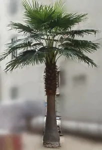 Plastic Tree High Quality Outdoor Decoration Large Artificial Plastic Palm Tree