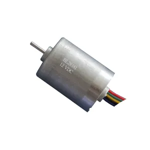 12 V 28 Mm DC Micro Brushless Motor 3000 Rpm untuk Printer