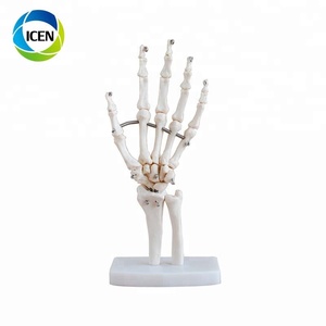ข้อต่อหัวเข่าสำหรับร่างกายมนุษย์ทำจาก <span class=keywords><strong>PVC</strong></span> ขนาดเท่า104 - Product Image 5