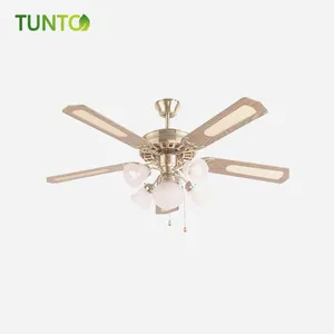 Solar dc ceiling fan 30w 12v with remote controller