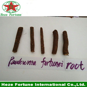 comprar el 99% sobrevive fuerte paulownia adaptabilidad raíz shan tong - Product Image 1